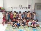 Adios a la clase de los delfines