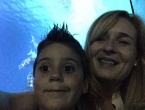 Durmiendo con tiburones