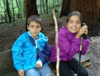 Bosque de secuoyas