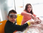 Desenterrando un mamut