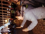 San Silvestre