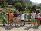 Espinaredu