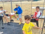 Paella en carrascalejo