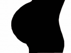 perfil03