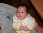 DSCN0591