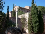 DSCN1239