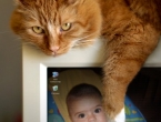 PhotoFunia_3e28