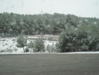 DSCN0171