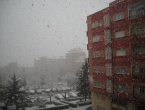 DSCN0079