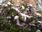 DSCN0097