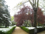 DSCN0128