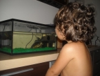 Jugando con las piedras y la tortuga
