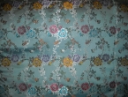 DSCN0081