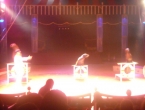 DSCN0133