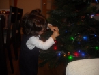 DSCN0142