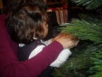 DSCN0145