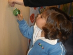 DSCN0176