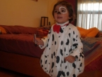 DSCN0142