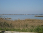 DSCN0005