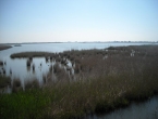 DSCN0008