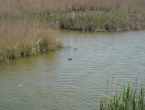 DSCN0009