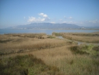DSCN0023