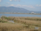 DSCN0025