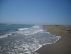 DSCN0036