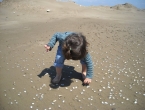 DSCN0042