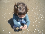 DSCN0043