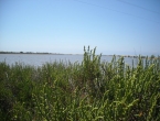 DSCN0045