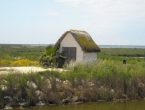 DSCN0081