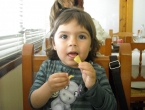 DSCN0084