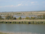 DSCN0101