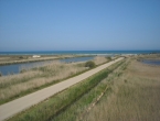 DSCN0102