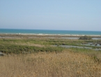 DSCN0103