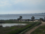 DSCN0105