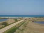 DSCN0107