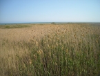 DSCN0116