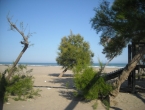 DSCN0127