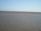 DSCN0133