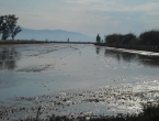 DSCN0136