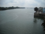 DSCN0146
