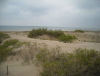 DSCN0172