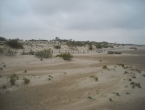 DSCN0174