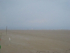DSCN0184