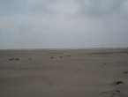 DSCN0194