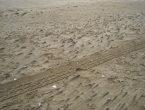 DSCN0201