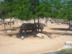 DSCN0010_010
