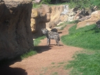 DSCN0014_014